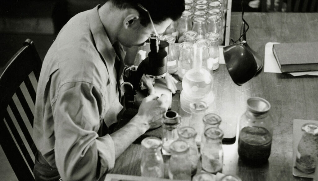 Seymour Abrahamson looking through a microscope