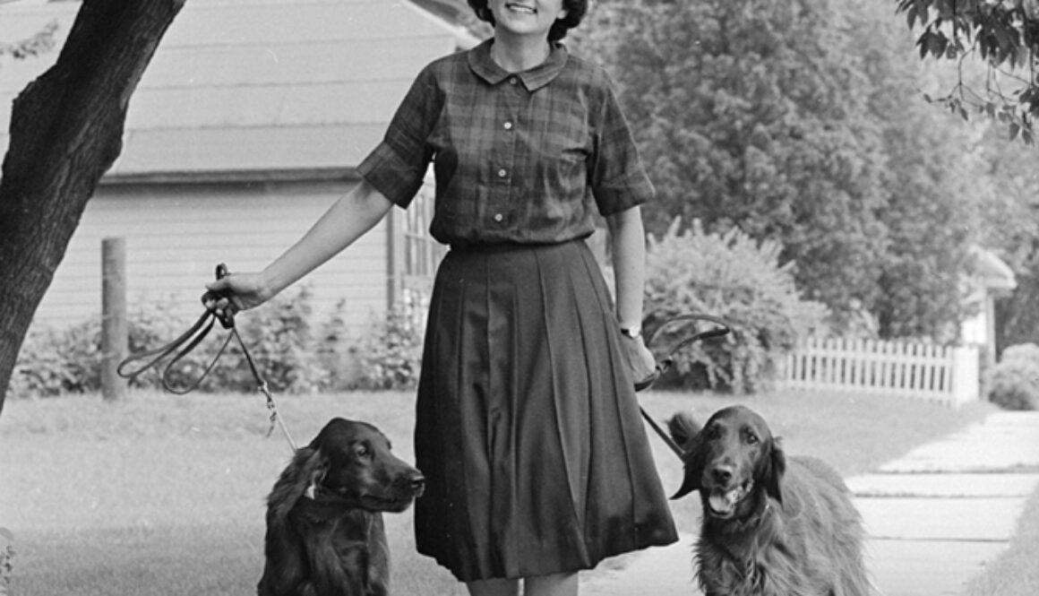 Shirley Abrahamson walking her Irish Setters. Photo: Wisconsin Historical Society ID 137633
